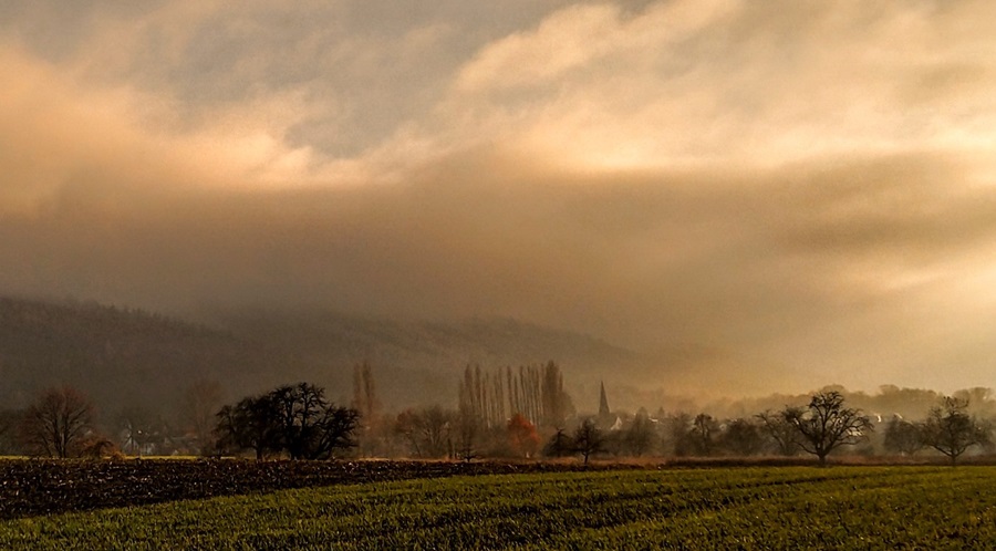 Nebel ueber Oberweier
