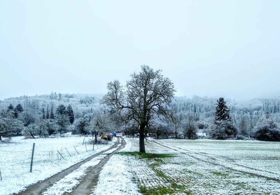 Erster Schnee Oberweier 2025