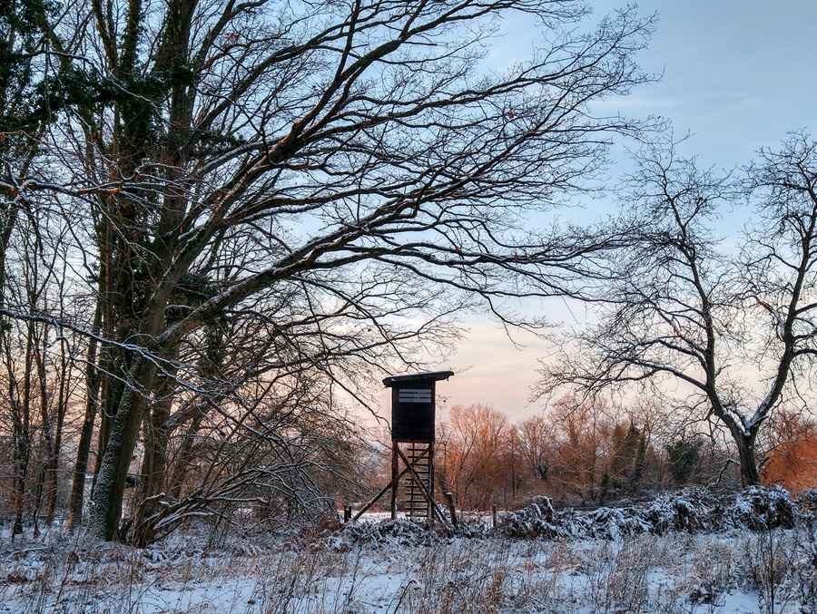 Winterlicher Hochsitz